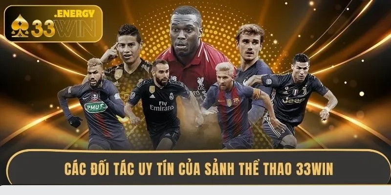 cac-doi-tac-uy-tin-cua-sanh-the-thao-33win