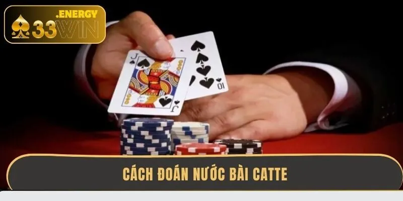 cach-doan-nuoc-bai-catte