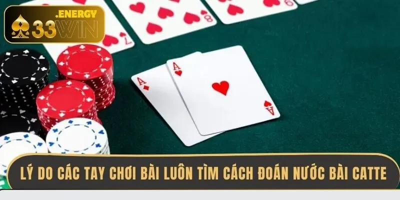 ly-do-cac-tay-choi-bai-luon-tim-cach-doan-nuoc-bai-catte