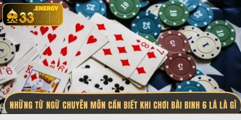 nhung-tu-ngu-chuyen-mon-can-biet-khi-choi-bai-binh-6-la-la-gi