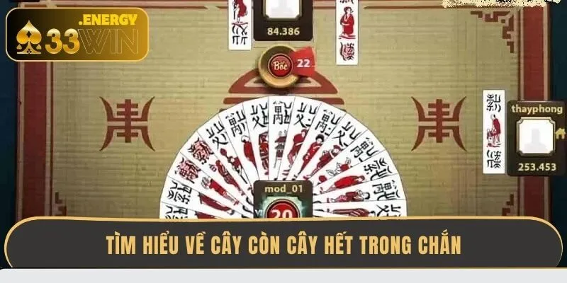 tim-hieu-ve-cay-con-cay-het-trong-chan